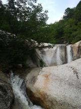 瑞德的冒险之旅中文版
