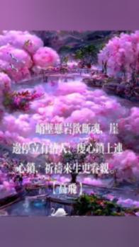 阴暗森林